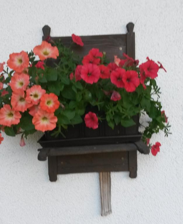 Waldschoenau Kirchbichl Exteriör bild
